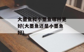 大墨鱼和小墨鱼哪种更好(大墨鱼还是小墨鱼好)