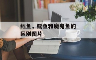 鳐鱼，鳐鱼和魔鬼鱼的区别图片