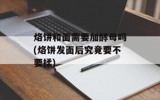 烙饼和面需要加酵母吗(烙饼发面后究竟要不要揉)