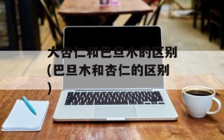大杏仁和巴旦木的区别(巴旦木和杏仁的区别)