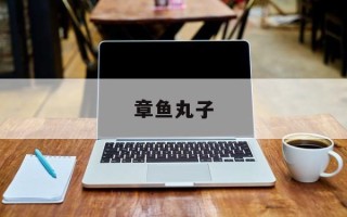 章鱼丸子