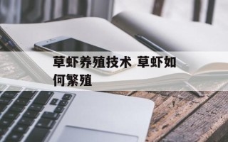 草虾养殖技术 草虾如何繁殖