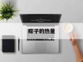 粽子的热量