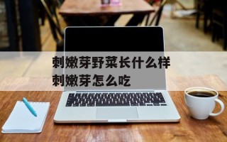 刺嫩芽野菜长什么样 刺嫩芽怎么吃