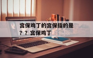 宫保鸡丁的宫保指的是？？宫保鸡丁