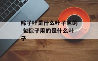 粽子叶是什么叶子包的 包粽子用的是什么叶子