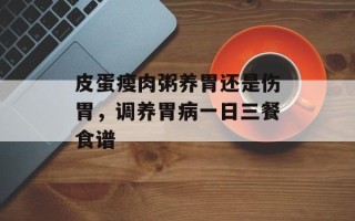 皮蛋瘦肉粥养胃还是伤胃，调养胃病一日三餐食谱