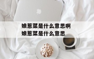 娘惹菜是什么意思啊 娘惹菜是什么意思