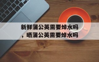 新鲜蒲公英需要焯水吗，晒蒲公英需要焯水吗