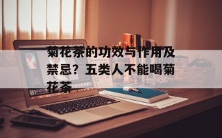 菊花茶的功效与作用及禁忌？五类人不能喝菊花茶