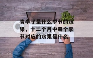 青李子是什么季节的水果，十二个月中每个季节对应的水果是什么
