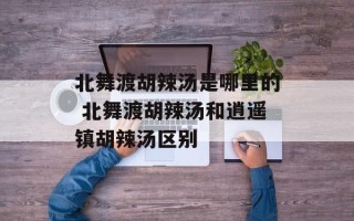 北舞渡胡辣汤是哪里的 北舞渡胡辣汤和逍遥镇胡辣汤区别