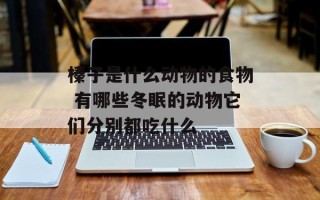 榛子是什么动物的食物 有哪些冬眠的动物它们分别都吃什么