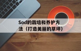 一点一横长打一字（猜谜游戏大全）