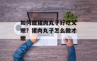 如何做猪肉丸子好吃又嫩？猪肉丸子怎么做才嫩