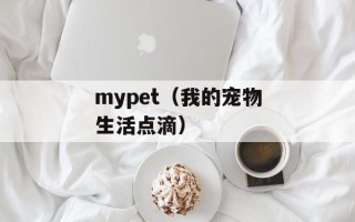 别克君威3.0（豪华车型的性能和外观介绍）