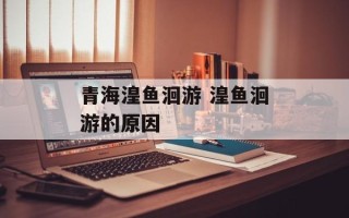 青海湟鱼洄游 湟鱼洄游的原因