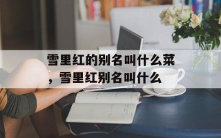 雪里红的别名叫什么菜，雪里红别名叫什么