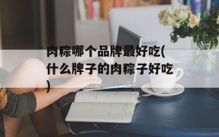 肉粽哪个品牌最好吃(什么牌子的肉粽子好吃)