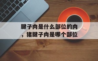 腱子肉是什么部位的肉，猪腱子肉是哪个部位