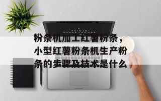 粉条机加工红薯粉条，小型红薯粉条机生产粉条的步骤及技术是什么