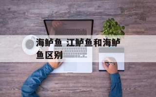 海鲈鱼 江鲈鱼和海鲈鱼区别