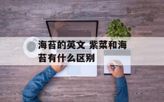 海苔的英文 紫菜和海苔有什么区别