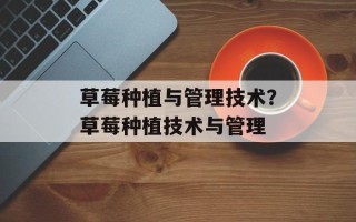 草莓种植与管理技术？草莓种植技术与管理