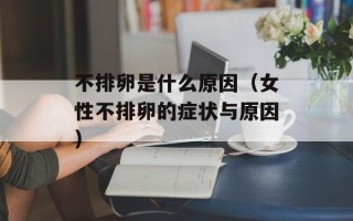 新大洲本田金锋锐（探究新款车型的优势和特点）