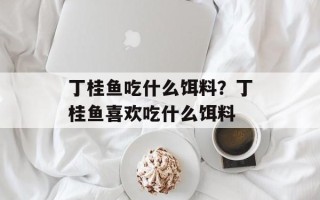 丁桂鱼吃什么饵料？丁桂鱼喜欢吃什么饵料