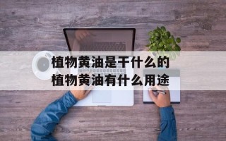 植物黄油是干什么的 植物黄油有什么用途