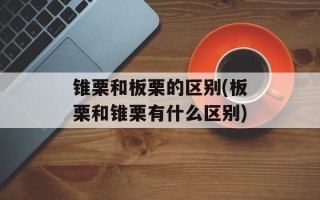 锥栗和板栗的区别(板栗和锥栗有什么区别)