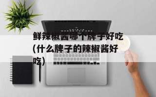 鲜辣椒酱哪个牌子好吃(什么牌子的辣椒酱好吃)