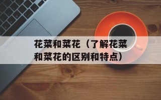 罐装番茄酱怎么使用，罐装番茄酱怎么做浓