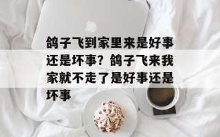 鸽子飞到家里来是好事还是坏事？鸽子飞来我家就不走了是好事还是坏事