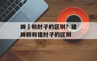 蹄髈和肘子的区别？猪蹄膀和猪肘子的区别