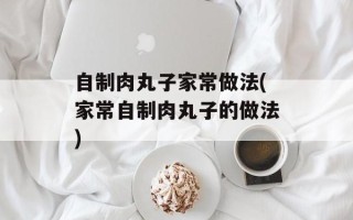 自制肉丸子家常做法(家常自制肉丸子的做法)