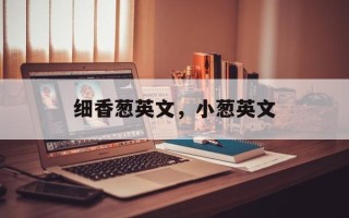 细香葱英文，小葱英文