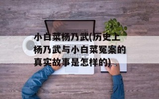 小白菜杨乃武(历史上杨乃武与小白菜冤案的真实故事是怎样的)