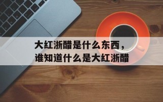 大红浙醋是什么东西，谁知道什么是大红浙醋