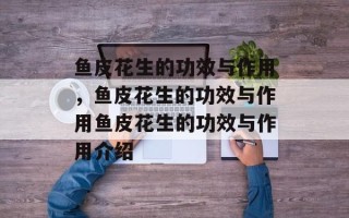 鱼皮花生的功效与作用，鱼皮花生的功效与作用鱼皮花生的功效与作用介绍
