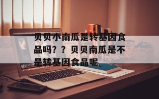 贝贝小南瓜是转基因食品吗？？贝贝南瓜是不是转基因食品呢
