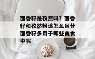 茴香籽是孜然吗？茴香籽和孜然粉该怎么区分茴香籽多用于哪些美食中呢