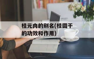 桂元肉的别名(桂圆干的功效和作用)