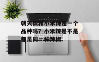 朝天椒和小米辣是一个品种吗？小米辣是不是都是同一种辣椒