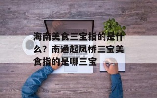 海南美食三宝指的是什么？南通起凤桥三宝美食指的是哪三宝