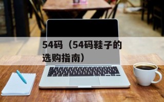 issues是什么意思（解析英文单词issues的含义）