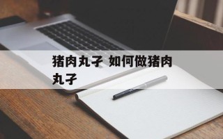 猪肉丸孑 如何做猪肉丸孑