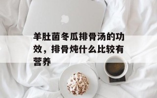 羊肚菌冬瓜排骨汤的功效，排骨炖什么比较有营养