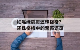 红嘴绿鹦哥还珠格格？还珠格格中的紫薇语录